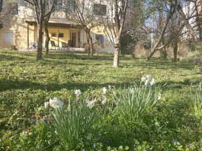 Vila VILA